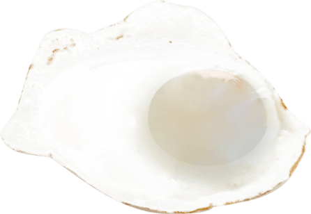 egg