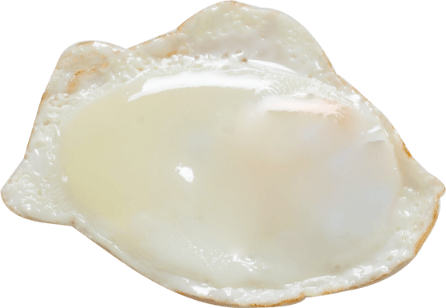 egg