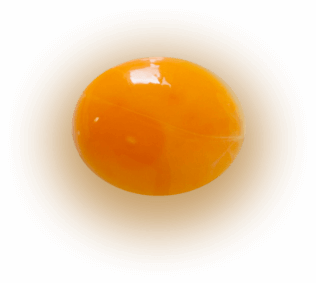 egg