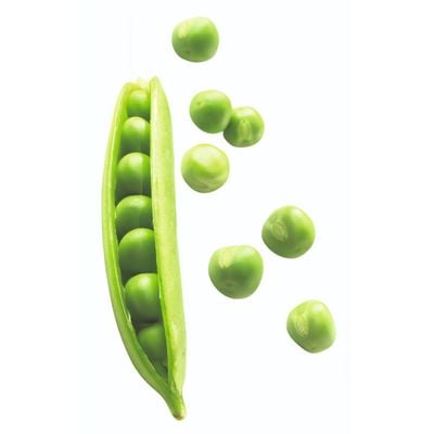 Paletă strecurătoare Ingenio K2060314, calitate premium, design inovator, fără BPA sau ftalați, plastic, negru