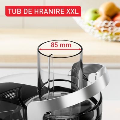 Storcator de fructe si legume Tefal Nutri XXL ZE660D10, 1000 W, 2 trepte de viteza, sistem antipicurare, recipient pentru pulpa 2.2 L , recipient pentru suc 0.8 L, negru &  argintiu