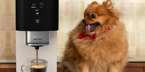 coffee crush sa4001 w coffee crush sa4001 w